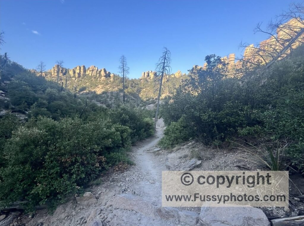 Chiricahua Big Loop: Ed Riggs Trail shade with sunlit hoodoos ahead
