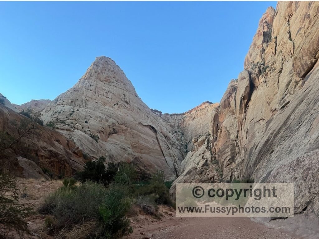 Grand Wash in Capitol Reef with tall, pale canyon walls rising above the trail, creating a wide, relaxed corridor that contrasts with Zion’s darker, steeper cliffs.