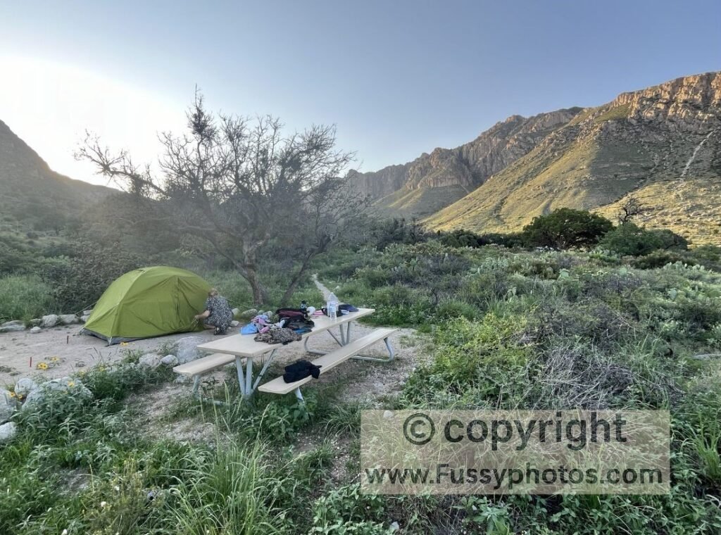 How to Explore Guadalupe Mountains — Pine Springs Campground near visitor center