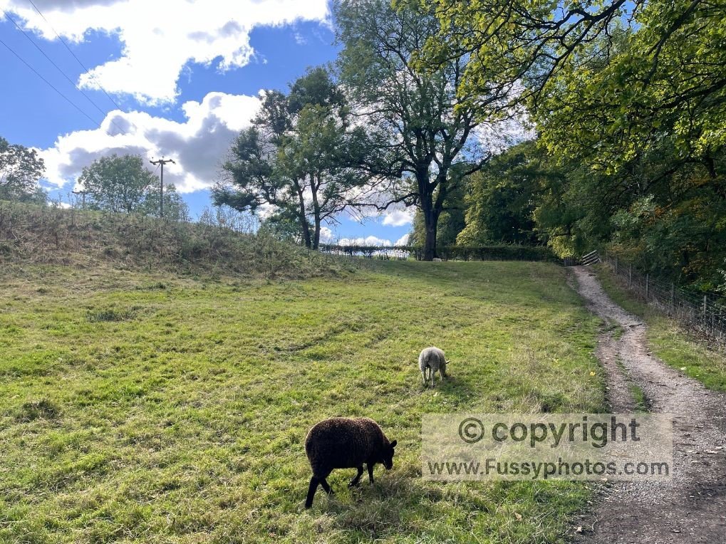 Mam Tor Circular Walk — Peakshole Water floodplain view