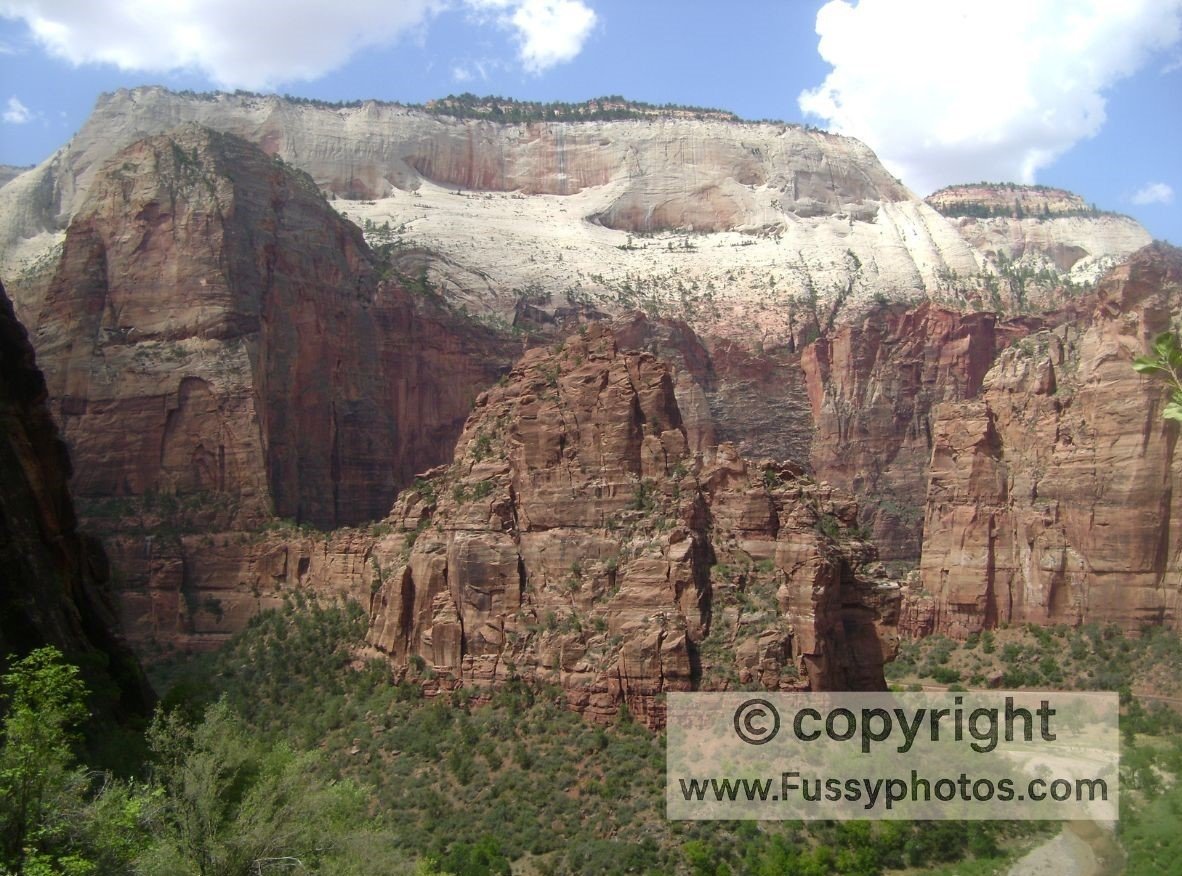 Zion Canyon with towering red‑rock walls rising above the Virgin River, showcasing the park’s iconic landscape.