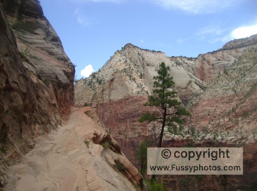 Observation Point, Zion National Park — Hidden Canyon detour on narrow ledge