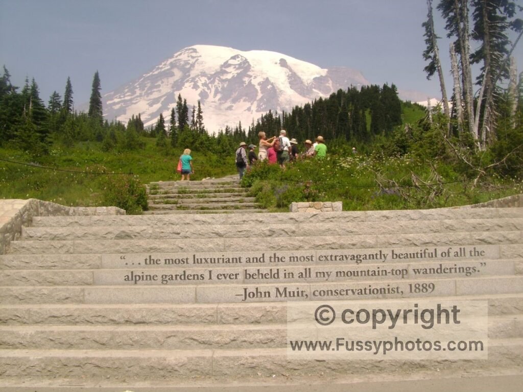 Plan Mount Rainier Hikes — Muir Steps at Paradise