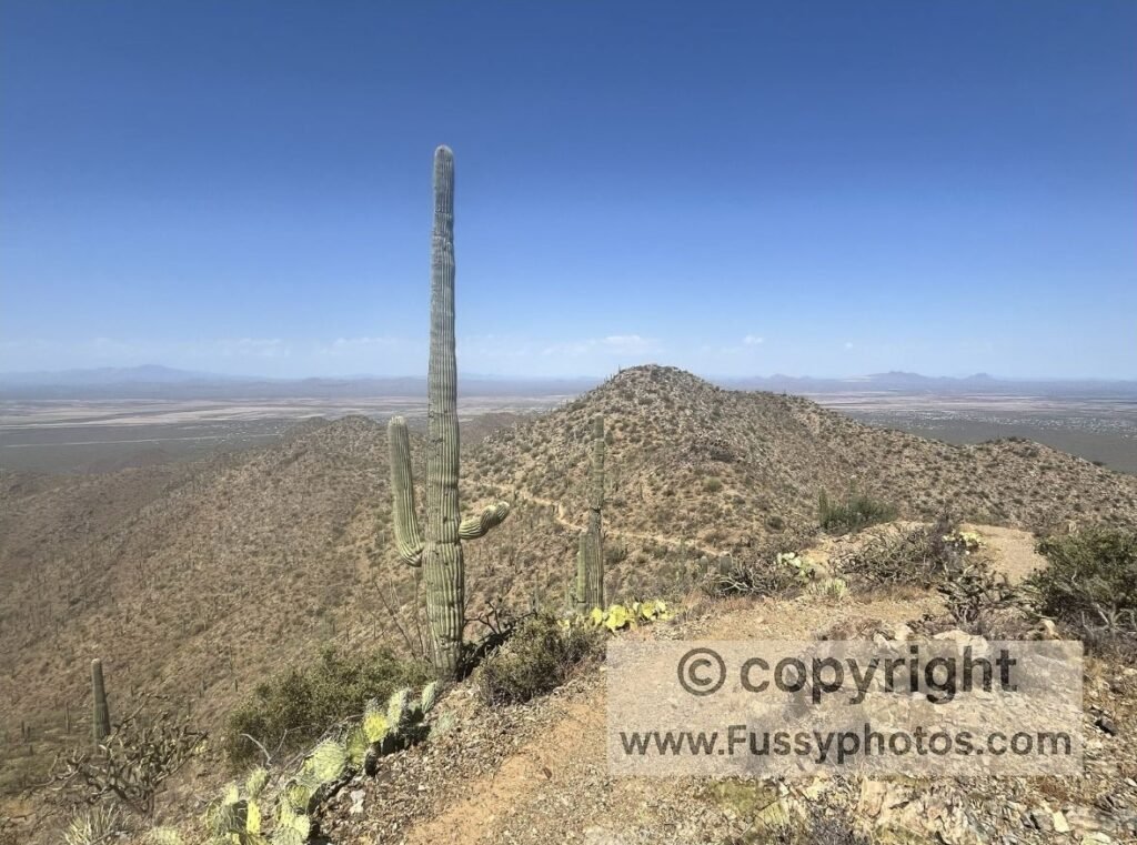 Best hike in Saguaro National Park — high above surrounding desert views