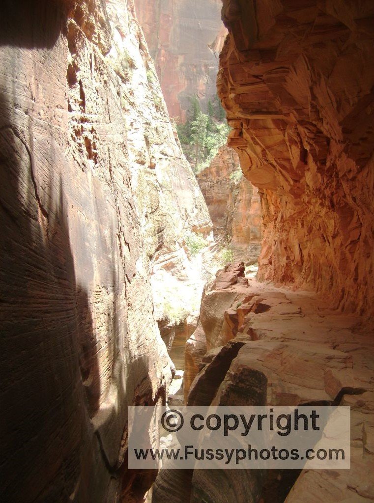 Observation Point, Zion National Park — narrow canyon trail