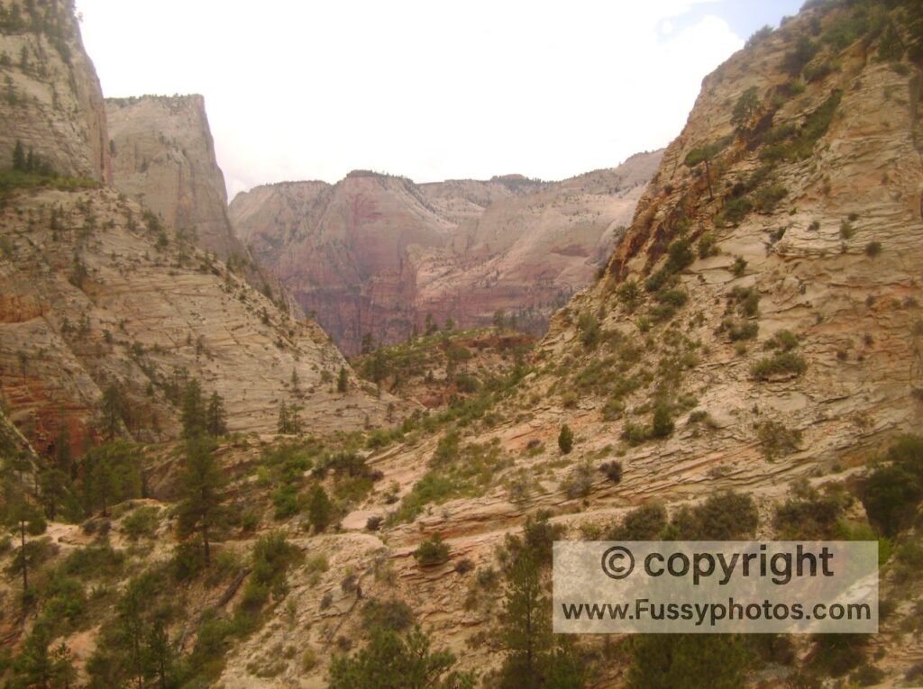 Observation Point, Zion National Park — rising elevation with trail switchbacks