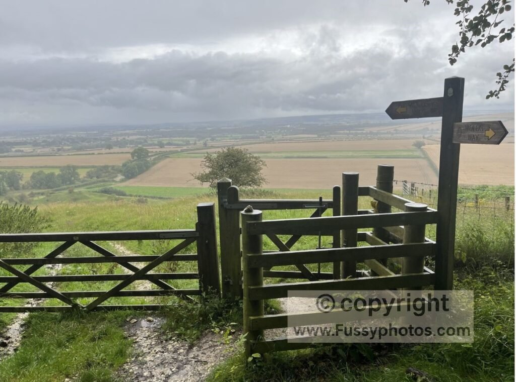 Yorkshire Wolds Way — South Wold Plantation elevated views north