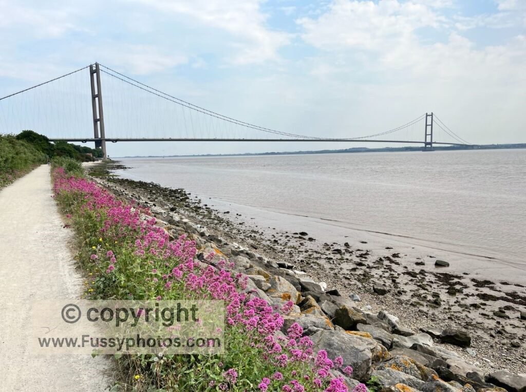 Yorkshire Wolds Way — obscure Hessle start, Humber Bridge unofficial beginning