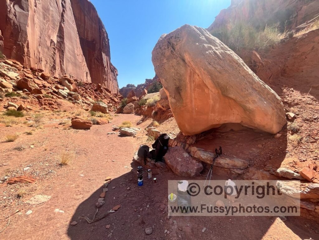 Capitol Reef Backcountry Loop — rare midday shade in Lower Springs Canyon