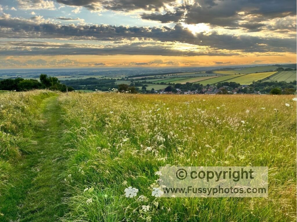 Sunset over Millington from the Wolds Way, with wildflowers in the foreground and the valley dropping away below after the final climb.