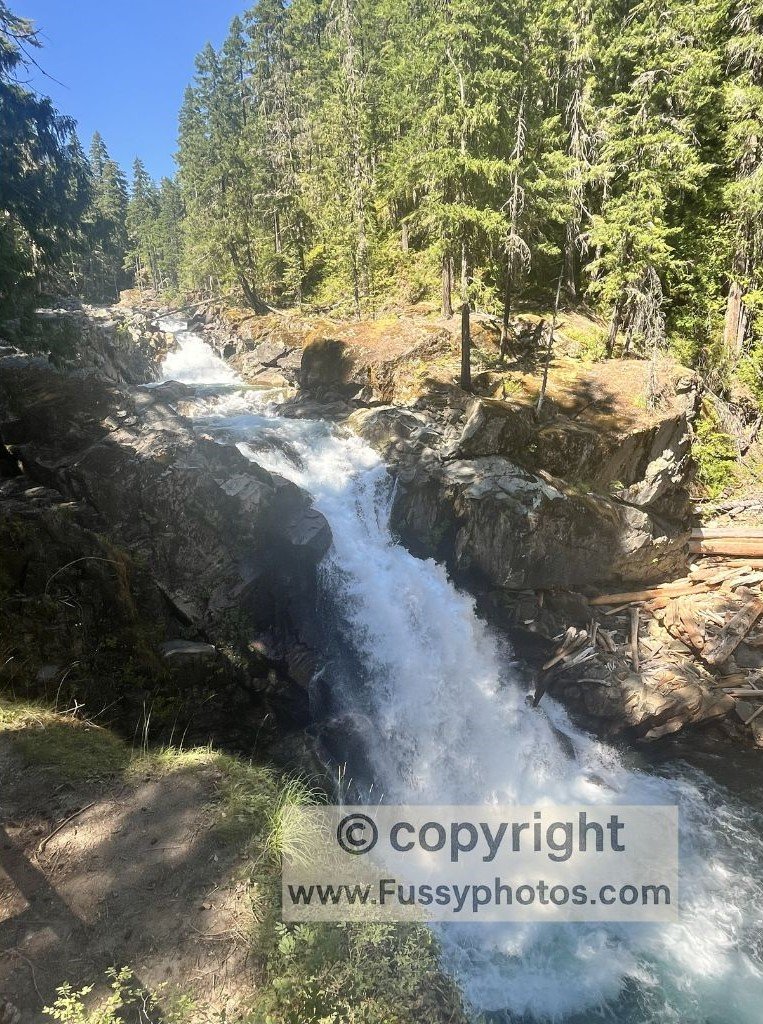 Wonderland Trail without competitive permits — Silver Falls via Cowlitz Divide Trail