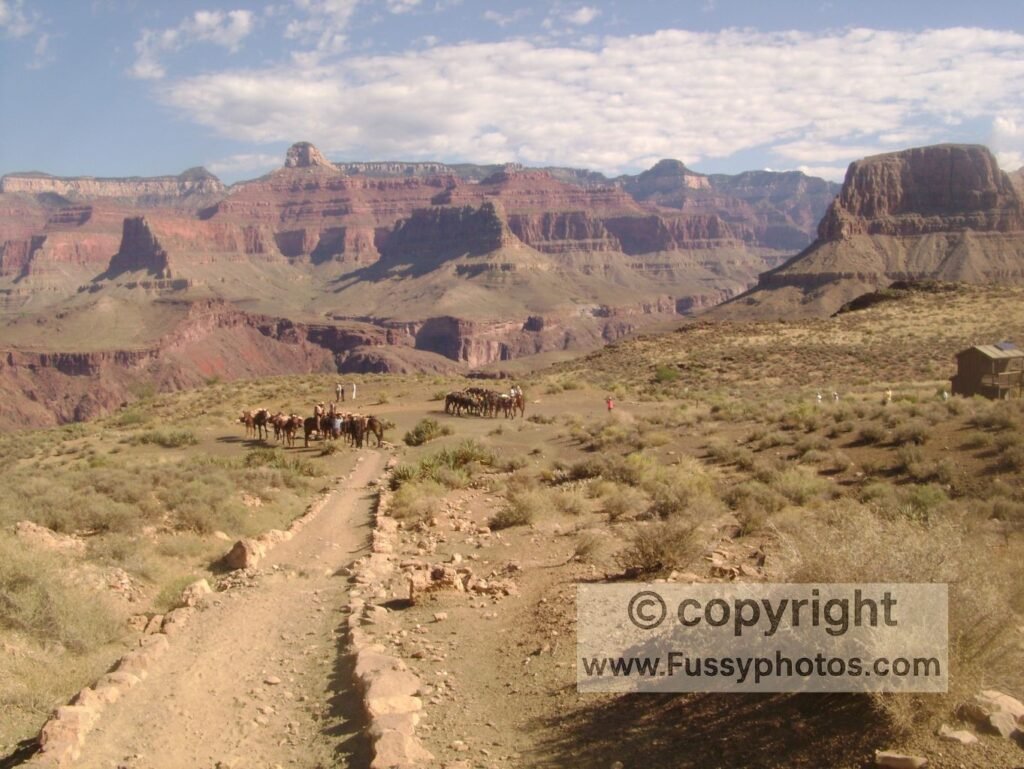 See, Hike, and Survive the Grand Canyon — Tip-Off South Kaibab Trail junction