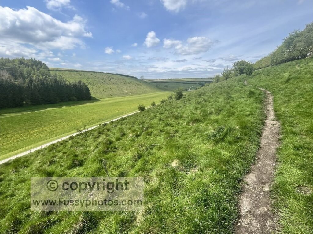 Wolds Way: Wharram Percy - Thixendale Loop with views of Court Dale