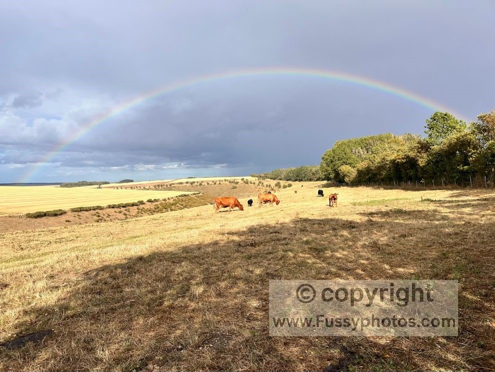 Wolds Way: Wharram Percy & Thixendale Loop: Rainbow over Deep Dale
