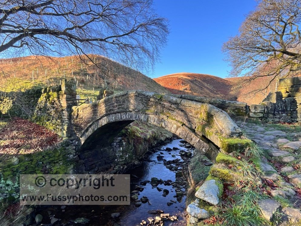 Eastergate Bridge, a Grade II listed packhorse bridge.