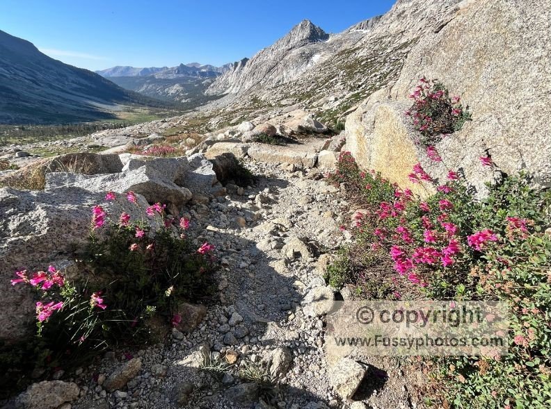 Big Arroyo nestled in the trees at the end of the classic U‑shaped glacial valley.