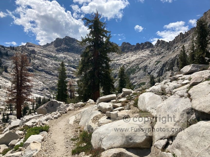 The Lakes Trail winds its way toward Pear Lake.