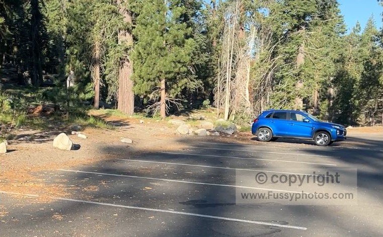 Lodgepole–Sherman Tree Trail Trailhead