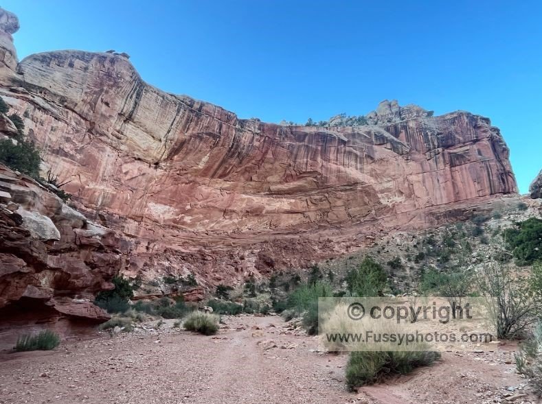 Huge alcove in Grand Wash where the canyon opens up near the Cassidy Arch Trailhead.