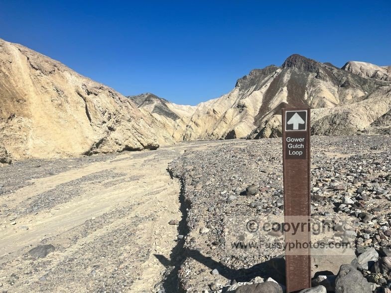 Gower Gulch Loop trail sign with the wash ahead as the route begins to curve west.