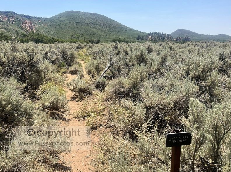 Hop Valley Trailhead, with plenty of bushes nearby for discreet water caching