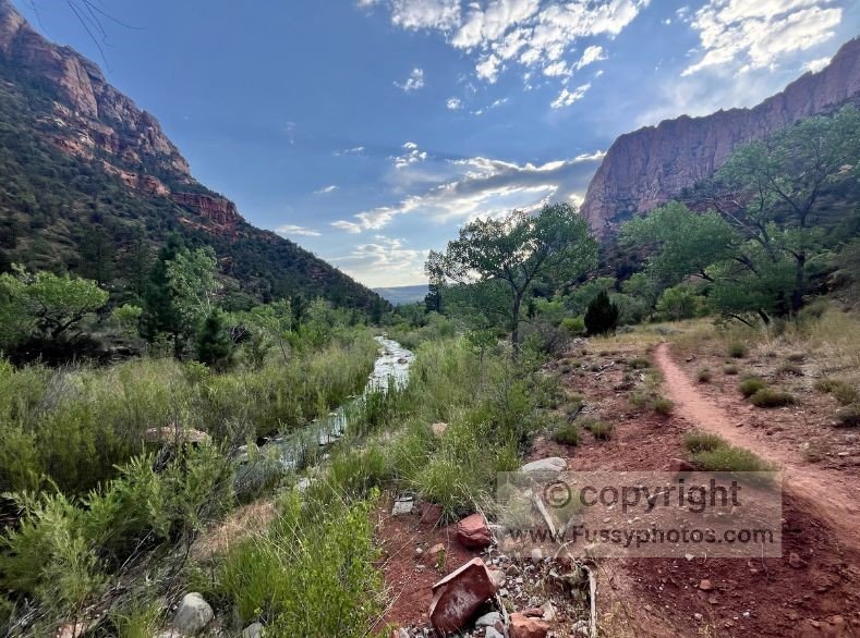 Abundant water in La Verkin Creek, but unsafe to drink due to cyanobacteria