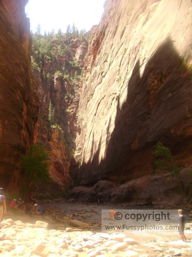 Walking through the Narrows in Zion National Park, with hikers wading through the shaded river canyon beneath towering sandstone walls.