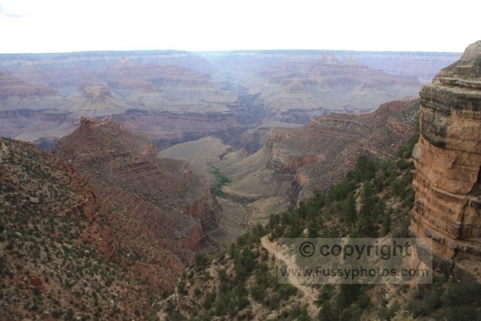 A high‑angle view from the Bright Angel Trail looking down toward the green cluster of trees at Havasupai Gardens on the canyon floor, with the surrounding cliffs and open terrain visible along the descent.