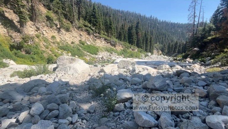 Buck Creek, where you can cool off in the water and camp on the slope above the creek before the climb to Bearpaw Meadow.