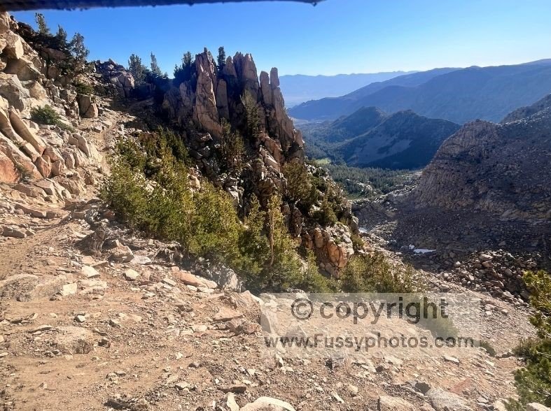 View northeast down the valley from the Lamarck Col Trail, showing the early‑morning descent after the long approach to Lamarck Col.