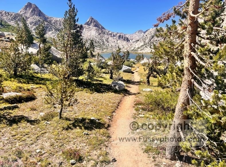 Morning view of Evolution Lake shimmering beyond the trees as the John Muir Trail climbs past small lakes and rocky outcrops toward Evolution Basin.