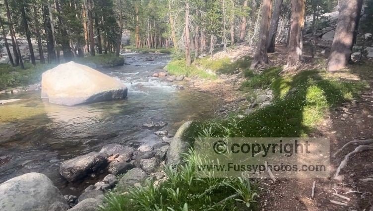 A small campground in Evolution Meadow, with Evolution Creek running just off to the left as mosquitoes gathered.