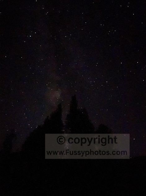A clear, unblocked view of the Milky Way, arching over camp in the stillness of the night.