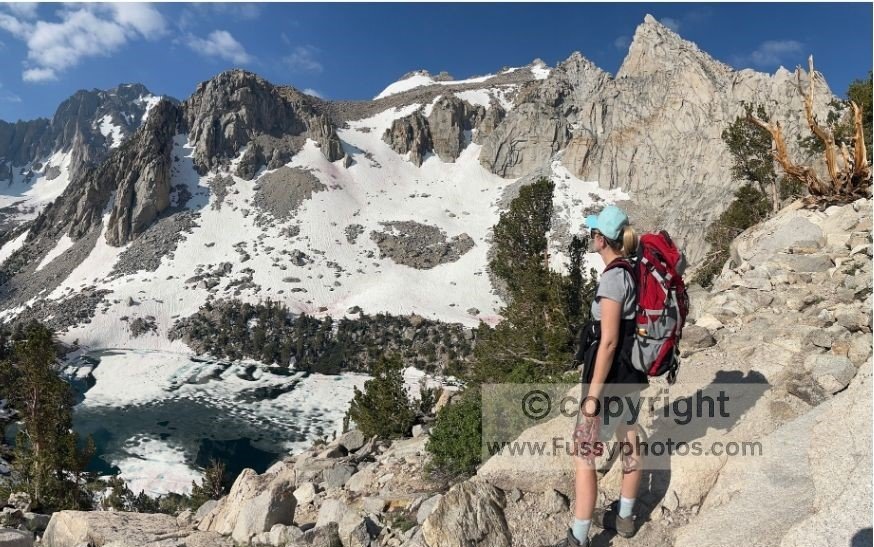 Looking down on Flower Lake with snow‑capped peaks in the background and a lone bristlecone pine beside the trail.