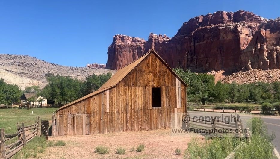Fruita’s historic barn beneath Capitol Reef’s red cliffs, surrounded by green orchards that form one of the park’s quietest and most peaceful oases.