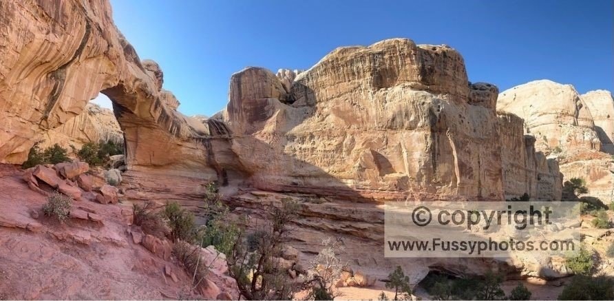 View of the large natural arch on the Hickman Bridge Trail, framed by red‑rock terrain in Capitol Reef National Park.