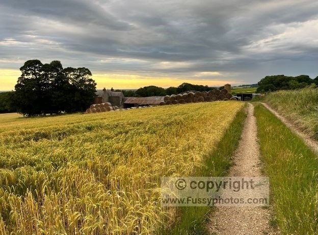 Warm sunset light across farmland and hay bales near Millington from my Wolds Way point-to-point walk