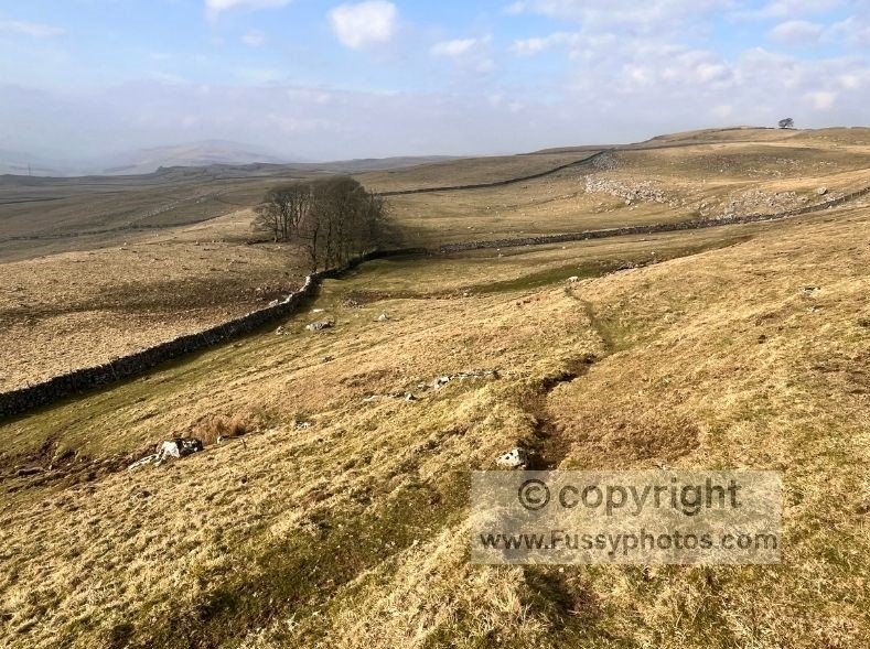 Here’s a polished caption + alt text pair that fits the Bare House context and your description of the landscape perfectly.
---
## **📸 Caption**
**Looking north from Bare House as the land gently slopes away, with scattered limestone rocks and classic Yorkshire Dales scenery unfolding below.**
**Alt text:**
North‑facing view from Bare House showing gently sloping ground with scattered limestone rocks and wide Yorkshire Dales scenery.