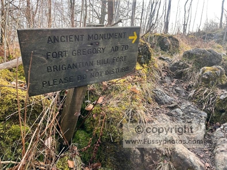 Information sign in Bastow Wood marking an Ancient Monument along the woodland path towards the River Wharfe.