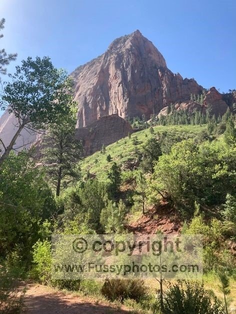 Partially shaded trail along Taylor Creek in Kolob Canyons, with trees lining the creek and tall red‑rock walls rising above, creating a quiet half‑day hike that feels far more peaceful than the busy main canyon of Zion.