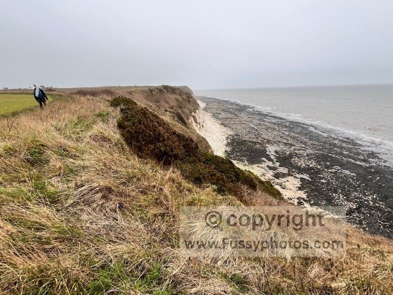 Clifftop view over the wide wave‑cut platform near South Landing, exposed at low tide.
