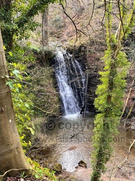 Photo of Falling Foss, a 30‑foot woodland waterfall on the Coast to Coast route.