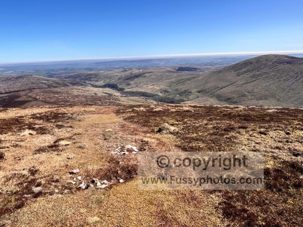 Northward landscape view from the descent of The Cheviot, showing the steep, faded trail and Hedgehope Hill on the right.