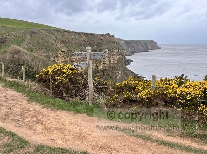 Photo showing the point where the Coast to Coast path turns inland, leaving the Cleveland Way after the gentle ascent with views of Maw Wyke.
