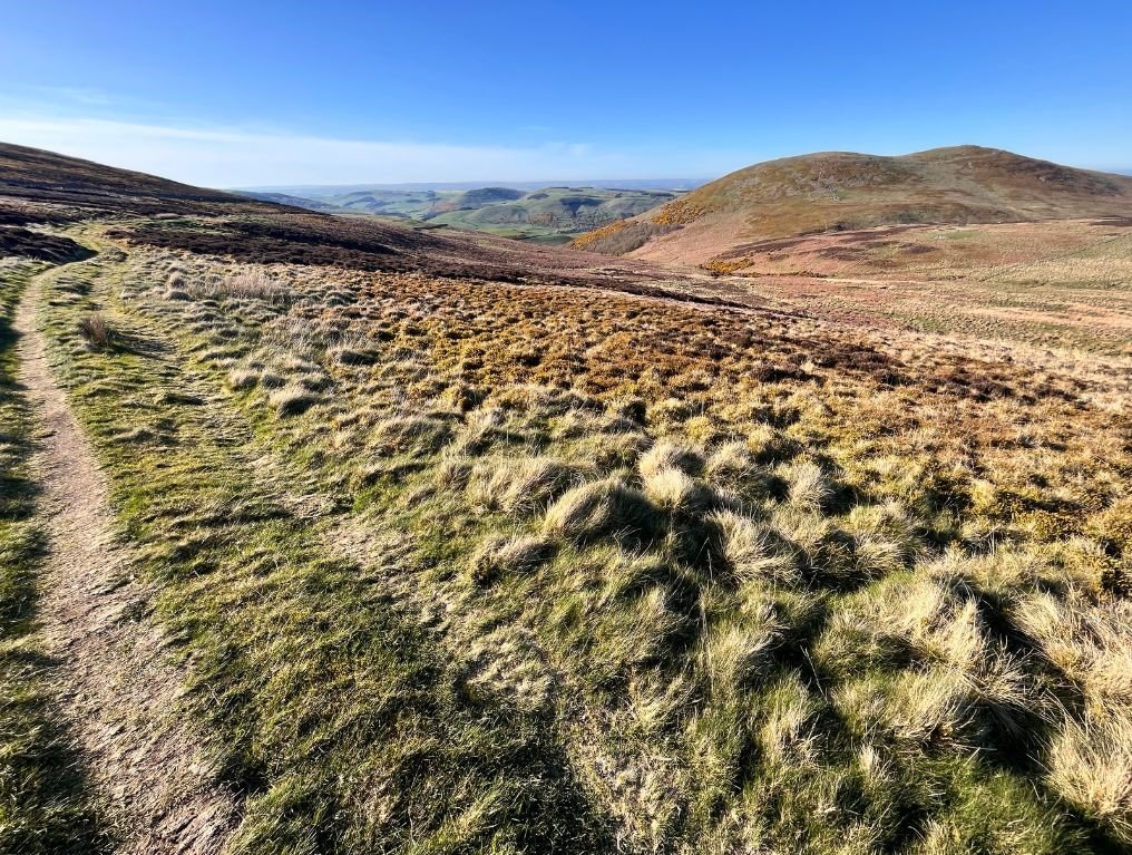 Trail heading north with the incline starting, just before the steep descent beside Tom Tallon’s Crag.