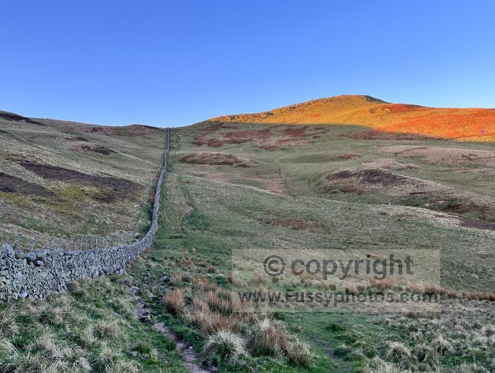 Sunrise illuminating the ascent on the High Level Route, with the border wall leading up to Whitelaw Nick.