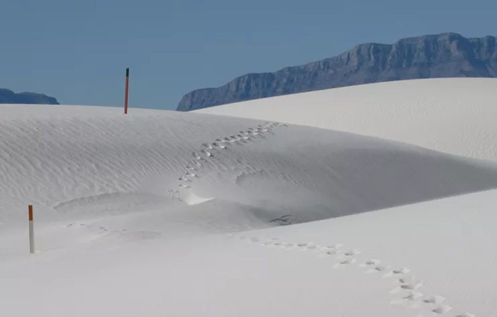 A wide view of the exposed dunes along the Alkali Flat Trail in White Sands National Park, showing the open terrain that heats up quickly after sunrise.
