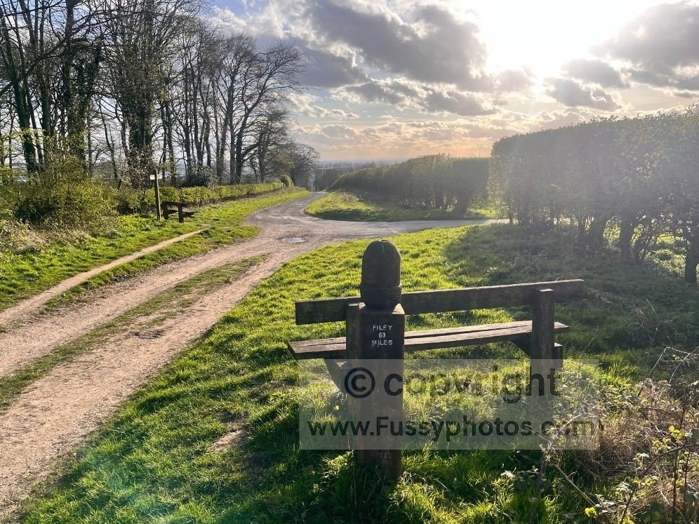 Bench on the hill above Riplingham, enclosed by hedges and trees yet open to the wind along the Yorkshire Wolds Way.