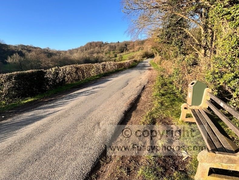 Road with a bench leading towards Arnecliffe Wood after leaving Egton Bridge on the Coast to Coast, in early‑morning sunshine.