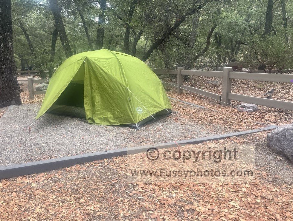 A shaded campsite surrounded by oak and pine trees at Bonita Canyon Campground in Chiricahua National Monument, with a tent area and forested setting.